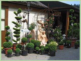 Gartenpflanzen und Gartenartikel in großer Auswahl